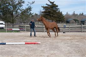 LR-WRF 0402026 Retreat-3184